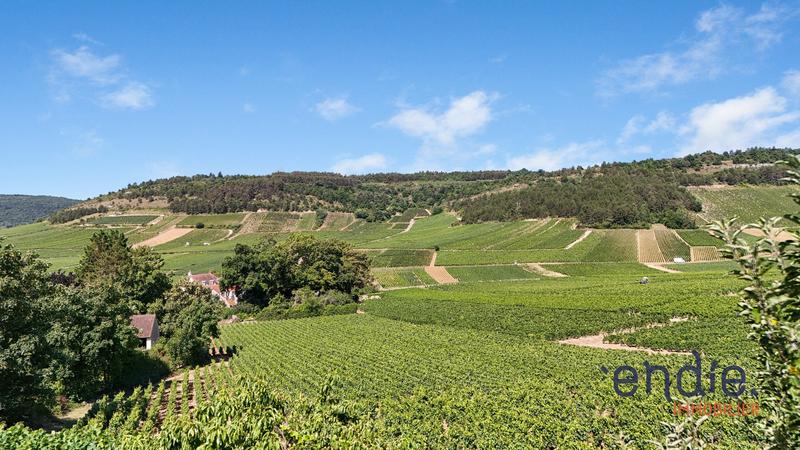 Maison - 163 m² - 6 pièces