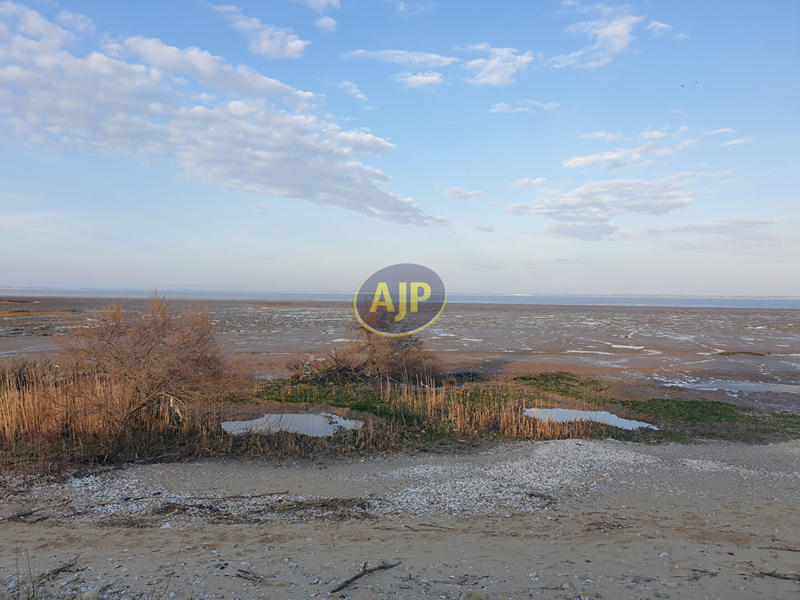 Terrain de loisirs - 6 863 m²