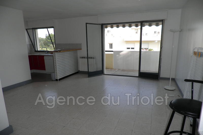 Appartement - 35 m² - 1 pièce