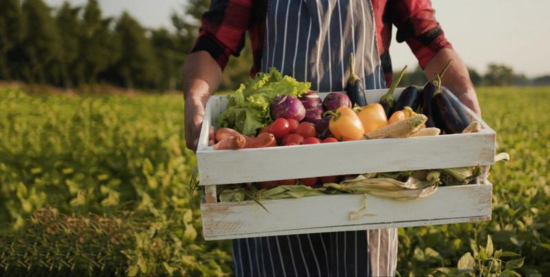 La Petite Jardinerie
