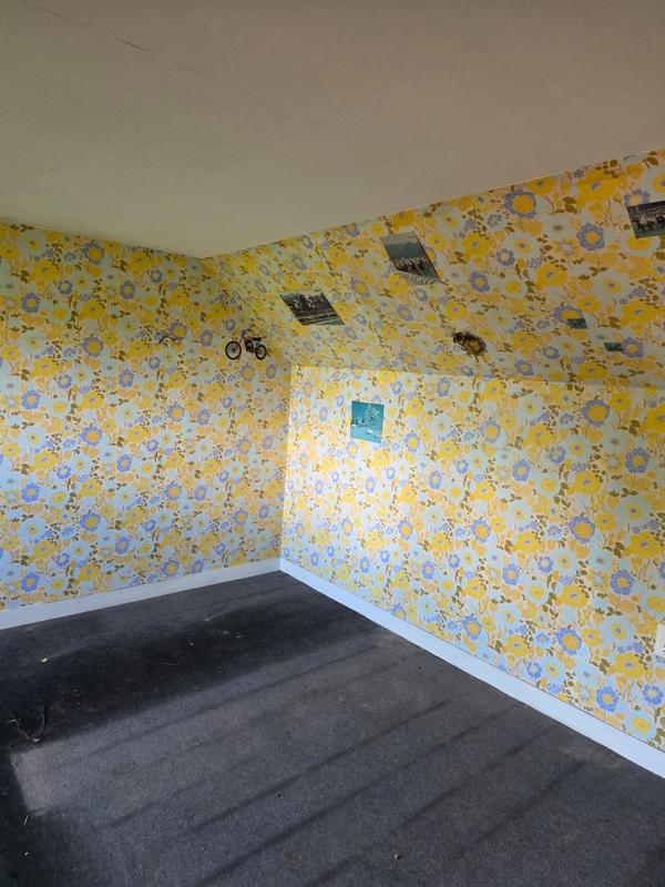 Maison - 125 m² - 7 pièces