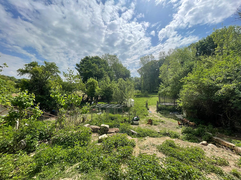 Maison - 230 m² - 8 pièces