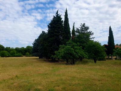 Terrain constructible - 246 m²