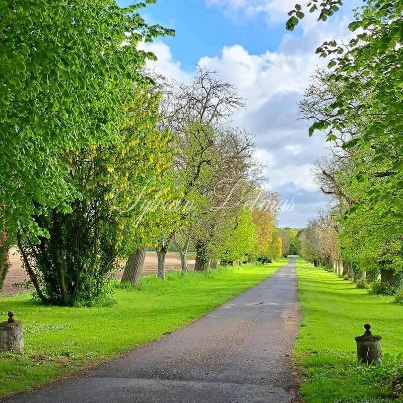 Château - 2 000 m² - 50 pièces