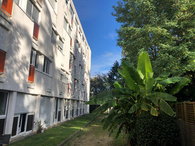 Appartement - 29 m² - 1 pièce