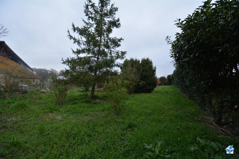 Viager - Maison ancienne - 115 m² - 5 pièces