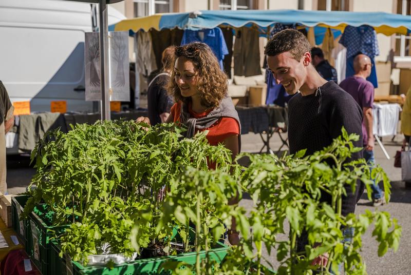 Marché de Rothau