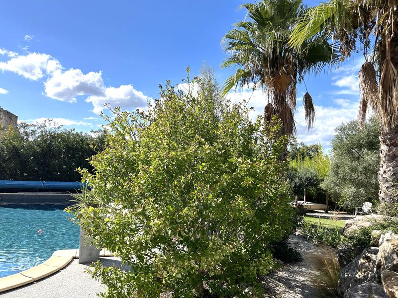 Local commercial - 266 m² - 5 pièces