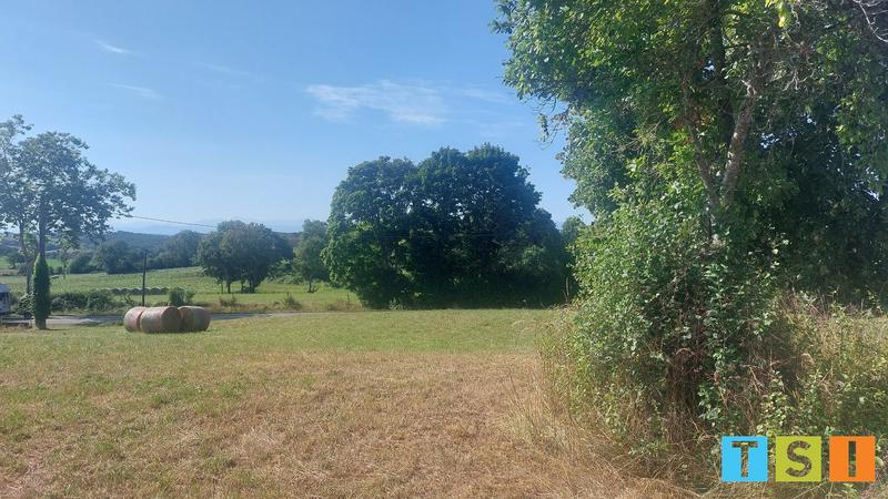 Terrain constructible - 5 900 m²