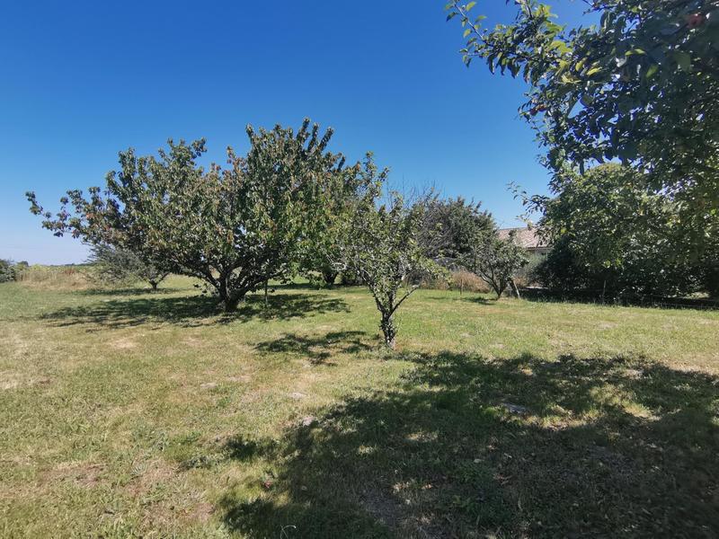 Maison - 197 m² - 7 pièces