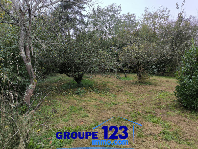 Terrain - 1 253 m²