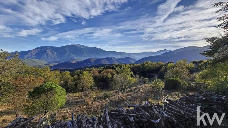 Maison - 285 m² - 13 pièces