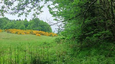 Terrain - 11 608 m²