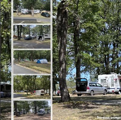 Camping les Petites Minaudières