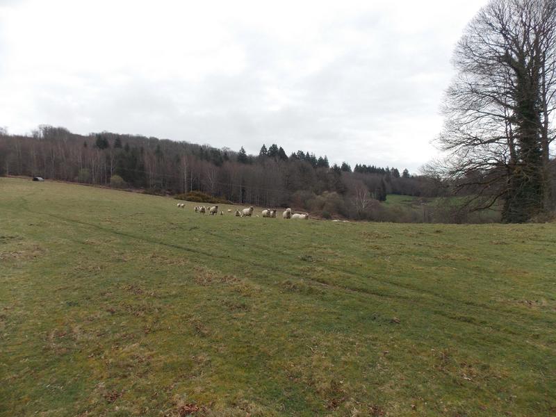 Corps de ferme - 110 m² - 5 pièces