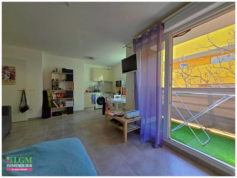 Studio - 31 m² - 1 pièce