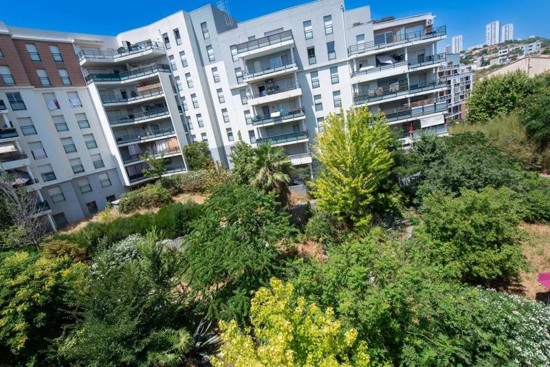 Studio - 30 m² - 1 pièce