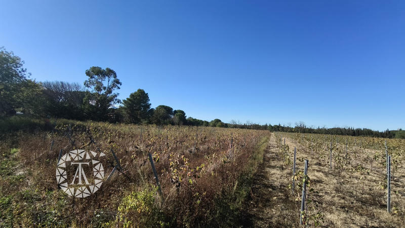 Terrain agricole - 4 247 m²