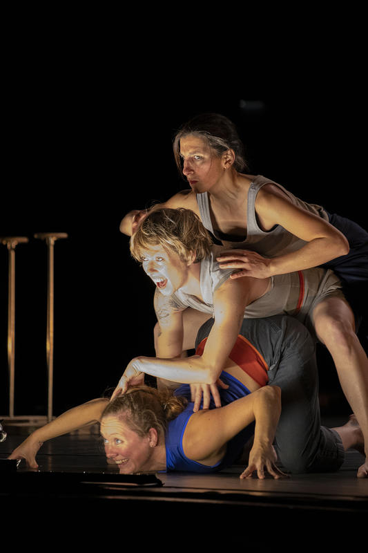 Saison culturelle - le Complexe de l’Autruche - Collectif d’équilibristes