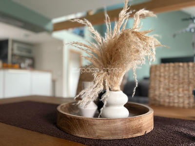 Maison - 143 m² - 6 pièces