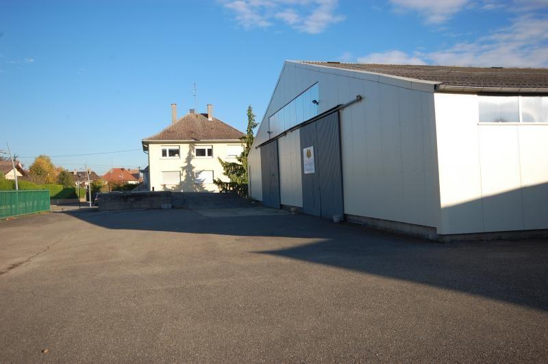Local d'activités - 980 m²