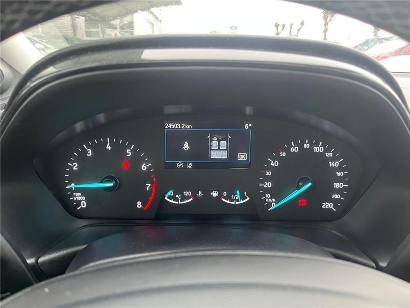 Ford Puma II 1.0 Flexifuel 125 Ch Mhev s&amp;S Bvm6 Titanium