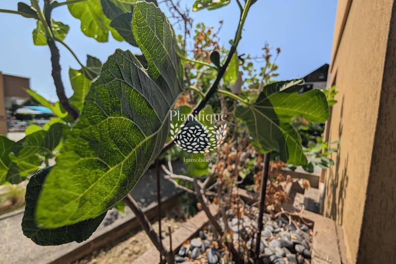 Appartement - 34 m² - 1 pièce