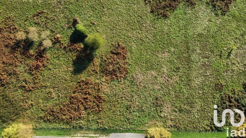 Terrain - 53 098 m²