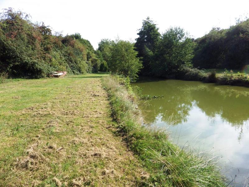 Terrain - 12 496 m²