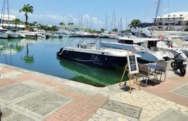 Appartement - 81 m² - 2 pièces