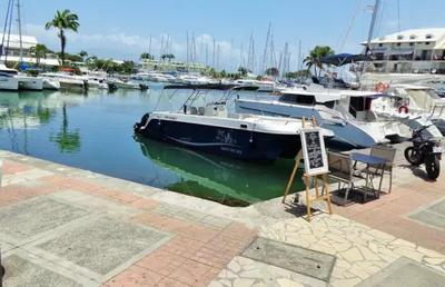 Appartement - 81 m² - 2 pièces