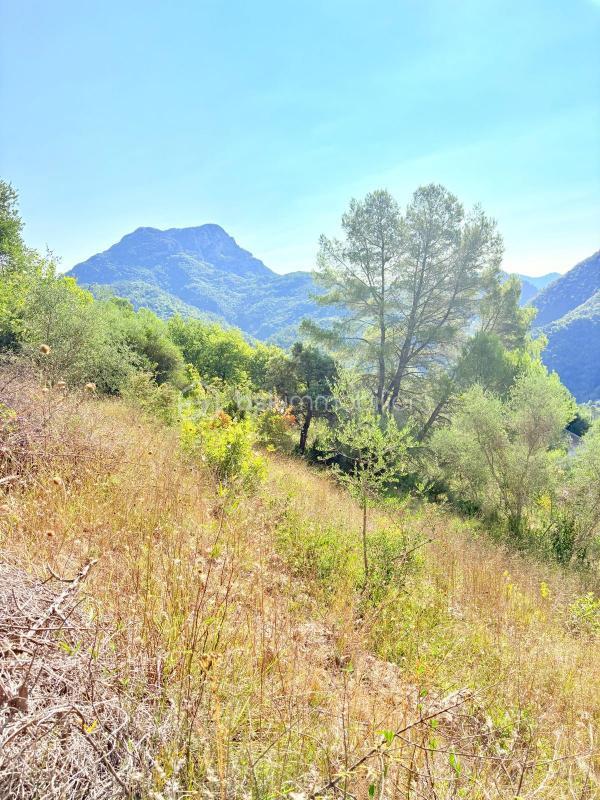 Terrain - 2 126 m²