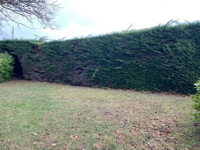 Terrain constructible - 605 m²