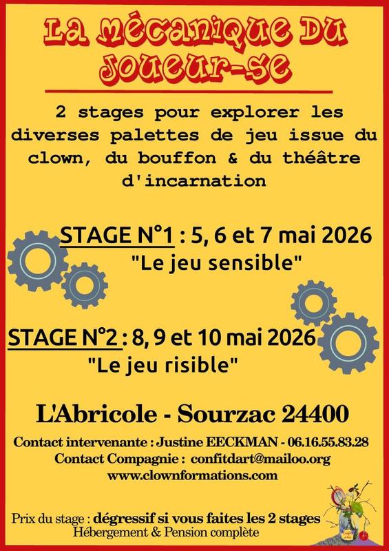 Stages de Clown : "La Mécanique du Joueur-euse"
