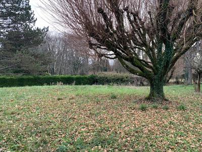 Maison - 137 m² - 5 pièces