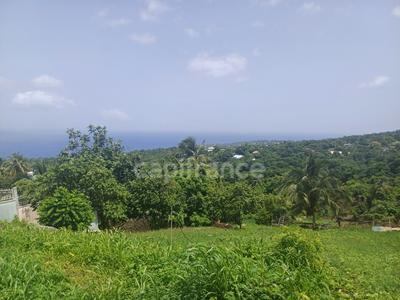 Terrain constructible - 1 000 m²