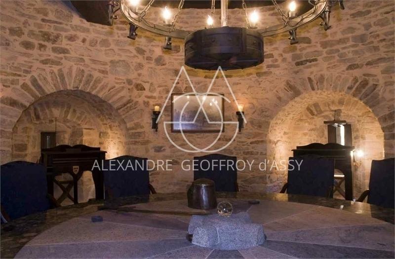 Château - 3 500 m² - 30 pièces