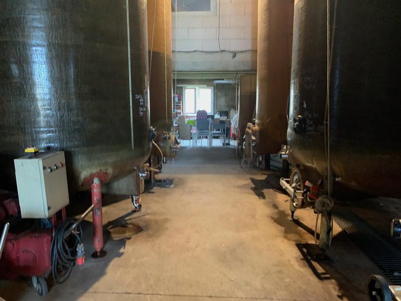 Propriété viticole - 230 m² - 7 pièces