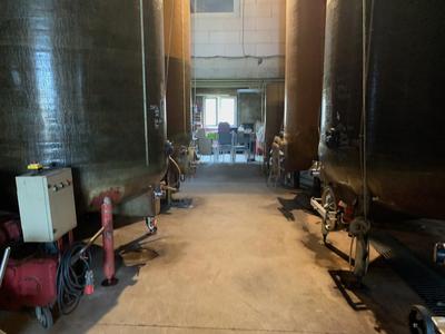 Propriété viticole - 230 m² - 7 pièces