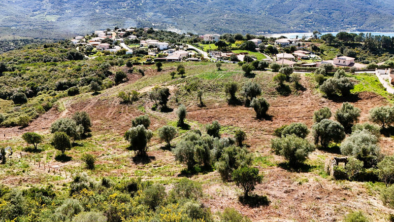 Terrain - 1 051 m²