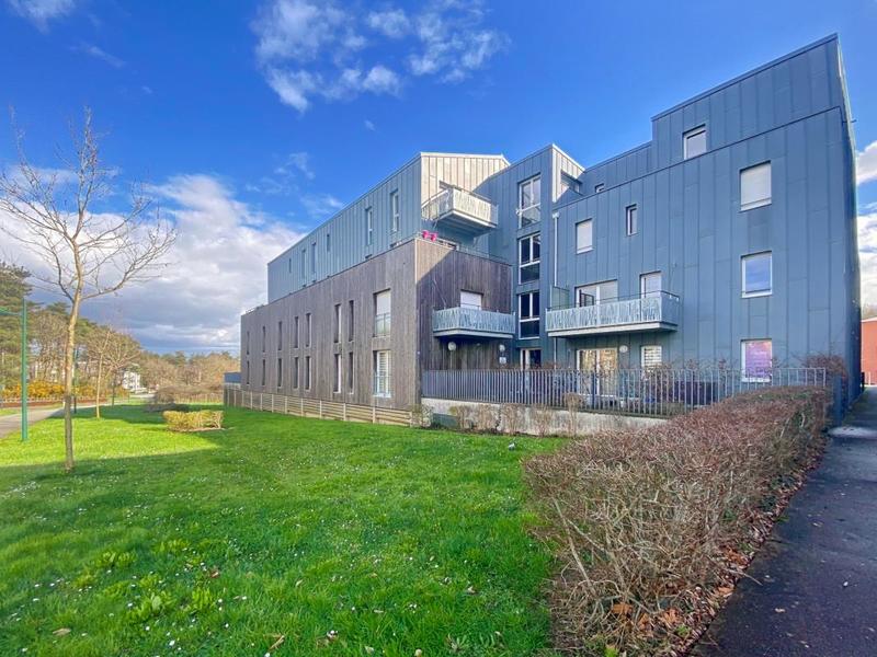 Studio - 36 m² - 1 pièce