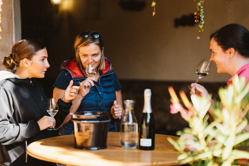 Je découvre les vins d'Alsace