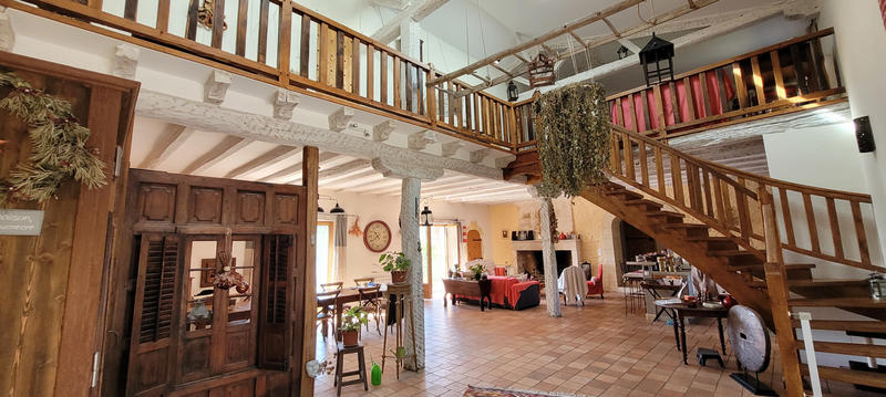 Viager - Maison - 515 m² - 17 pièces