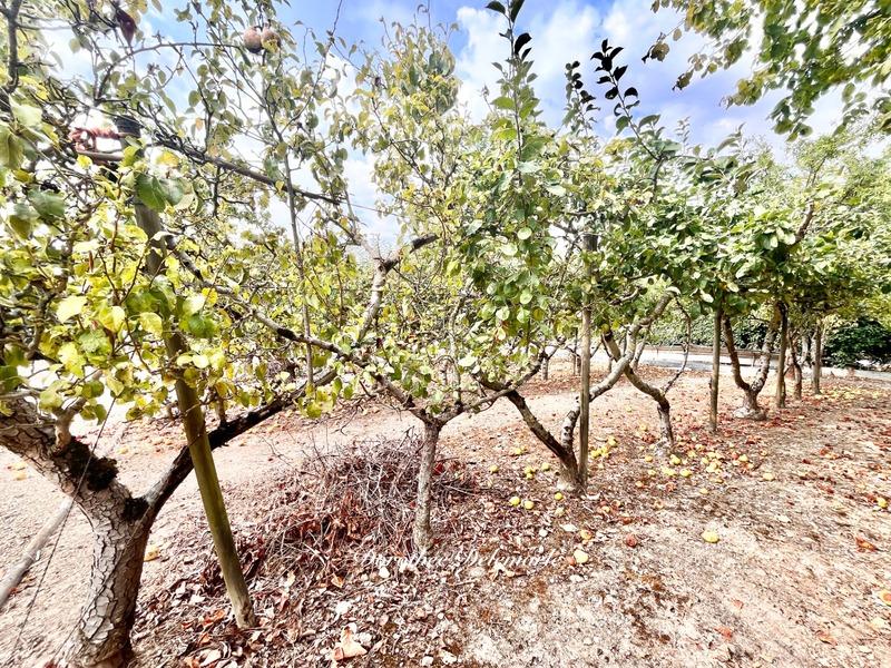 Maison - 130 m² - 3 pièces