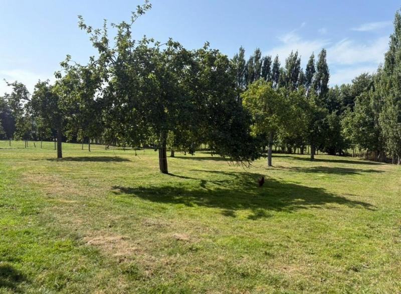 Terrain constructible - 1 000 m²