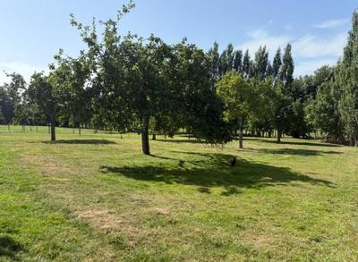 Terrain constructible - 1 000 m²