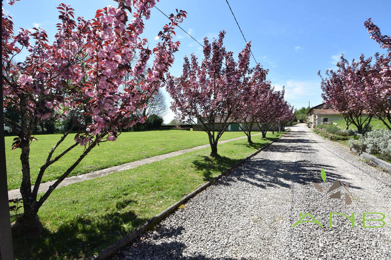 Maison ancienne - 300 m² - 10 pièces