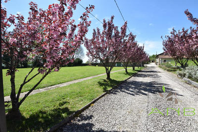 Maison ancienne - 300 m² - 10 pièces
