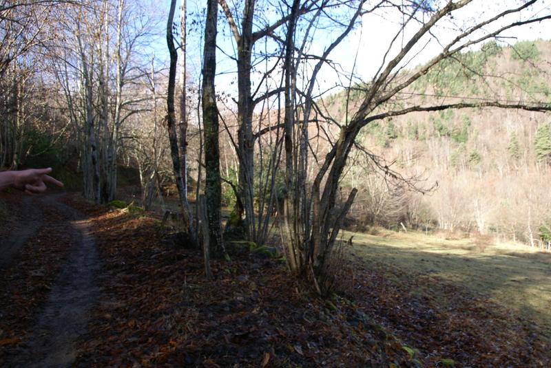 Maison - 110 m² - 3 pièces