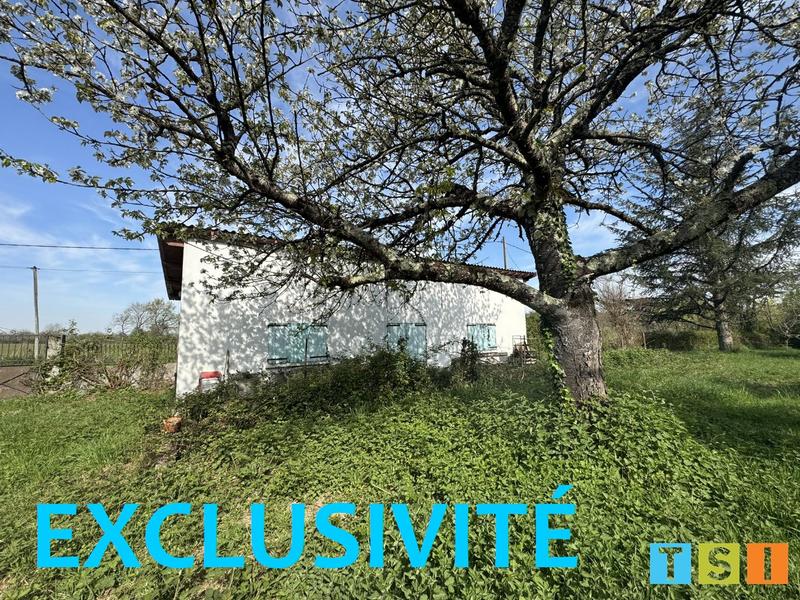 Maison - 50 m² - 3 pièces